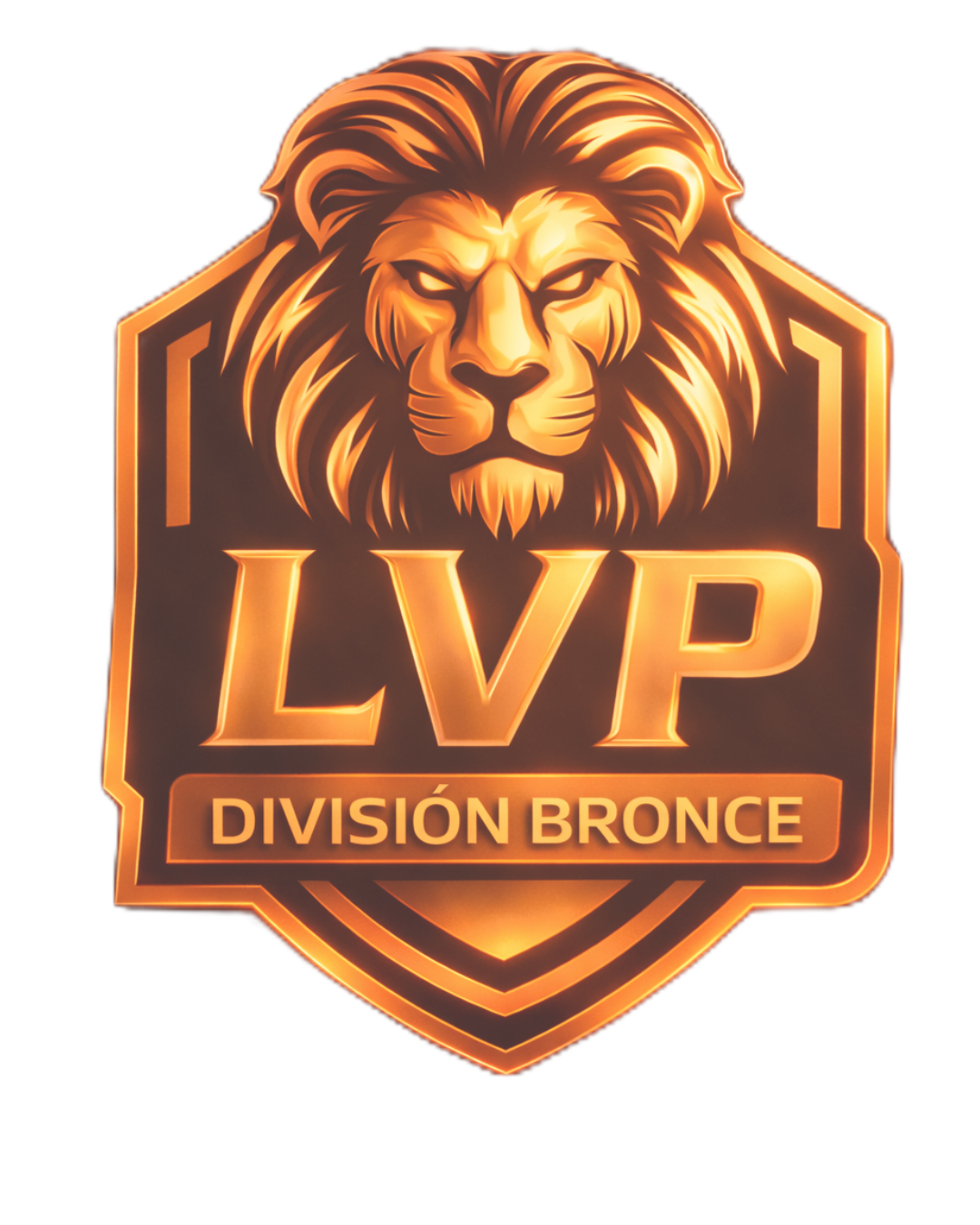 VPA BRONCE (LVP)