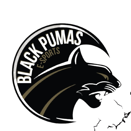 BLACK PUMAS
