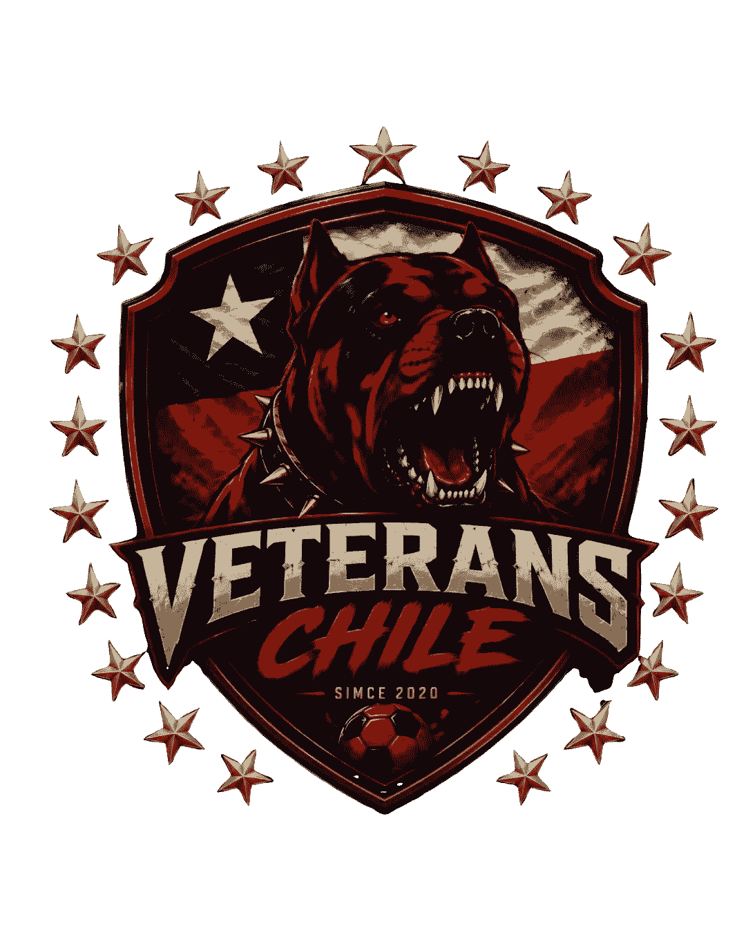 VETERANS CHILE